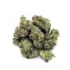 Raspberry Syrup | Mini-Buds | 1/8 oz.