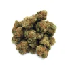 Strawberry Thai | Mini-Buds | 1/2 oz.