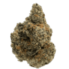 Gas Can ⛽