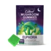 Sunset Melon Dew Gelato Cutleaf Euphoria Mushroom Gummies 1000mg