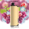 ALIBARBAR INGOT – GRAPE ICE – 9000 PUFFS